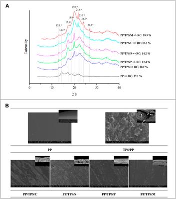 Evaluation of carboxylic acids as sustainable compatibilizing agents on blend sheets properties based on thermoplastic babassu starch and polypropylene